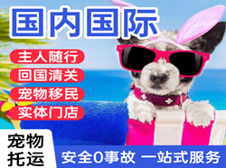 成都天府机场物流国际宠物托运 【国